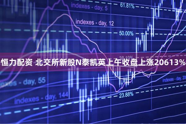 恒力配资 北交所新股N泰凯英上午收盘上涨20613%